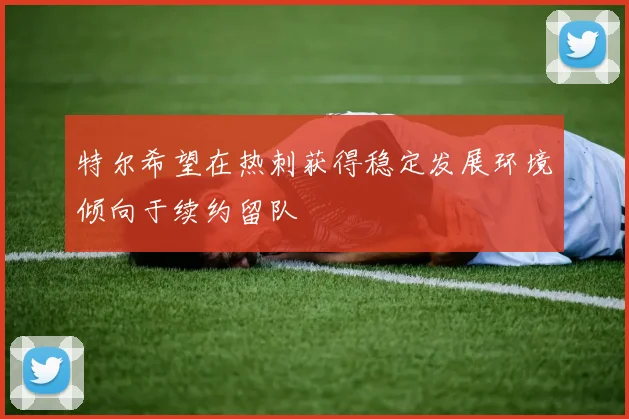 特尔希望在热刺获得稳定发展环境倾向于续约留队