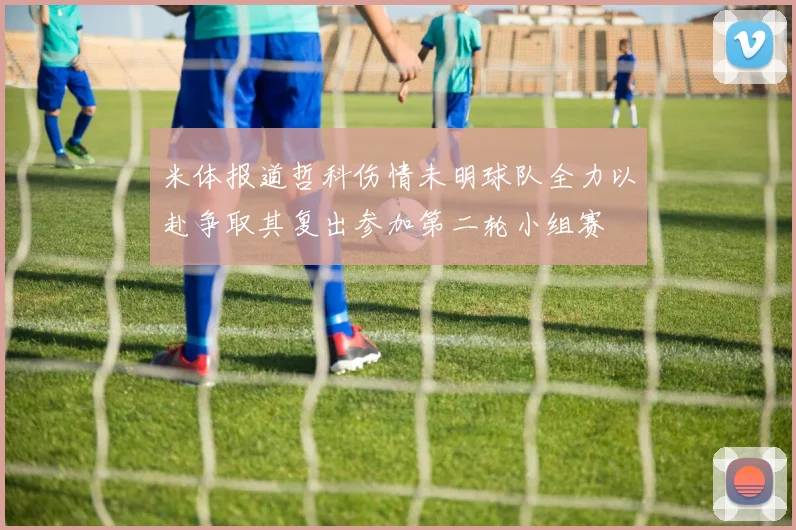 米体报道哲科伤情未明球队全力以赴争取其复出参加第二轮小组赛